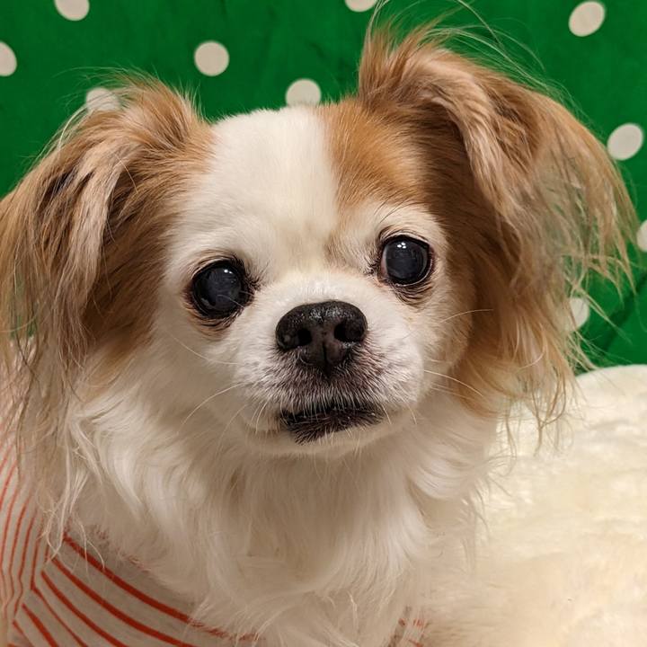 Da3dd245 11d1 47de 98c7 911064825bea 1671978041234