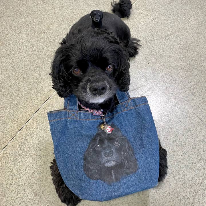 Da3dd560 947e 4093 8540 cb1098853f99 1628925369847