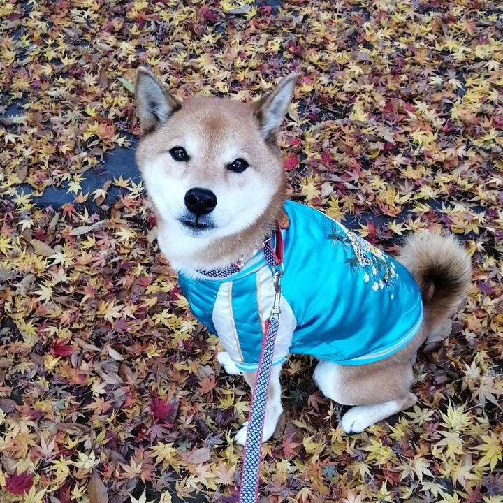 Da3e263c 28ef 4803 b469 88d21b0a7a55 1639030778827