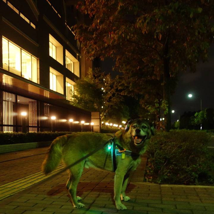 Da3e388e aa10 4462 a817 296ac27b0171 1537283383021