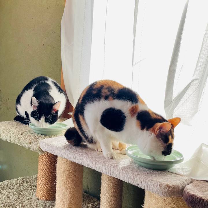 Da3e4a41 3ea8 4e7f bb02 4ba21c8b20f0 1611109840332