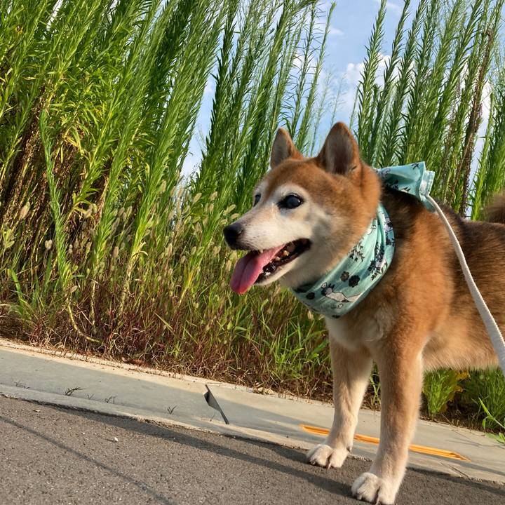 Da3e5e6e c35c 4e5d bbe0 37930e05278a 1721463654452