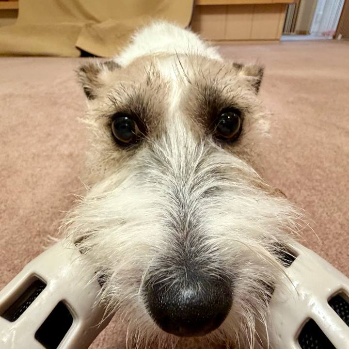 Da3ec9f7 979b 4b0d 85da e07c5b4342d8 1760709906301