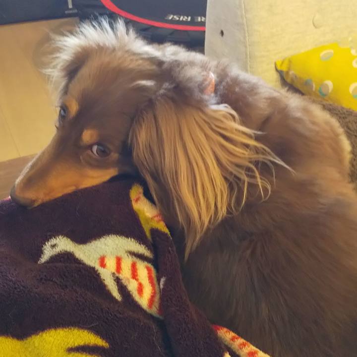 Da3ee9c0 fe7c 4554 952f fad5d19b908c 1546994171159