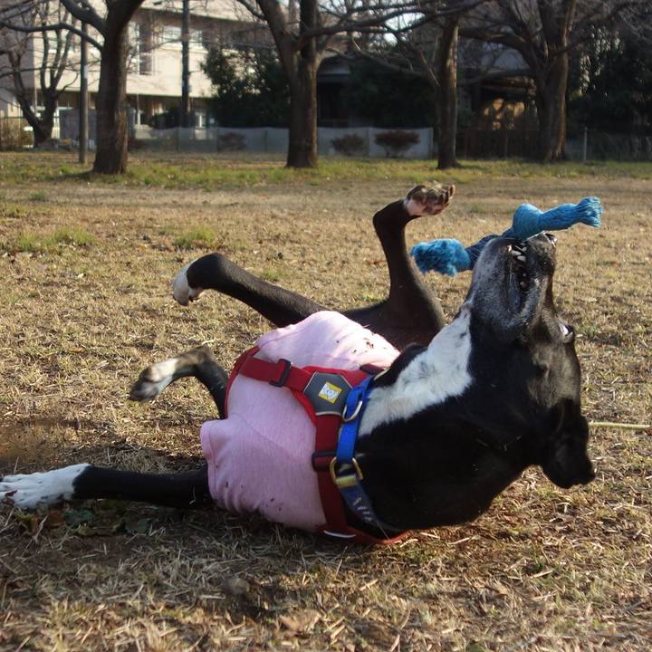 Da3f0fbc e308 4c2c 9b66 558b52e48bde 1675817200103