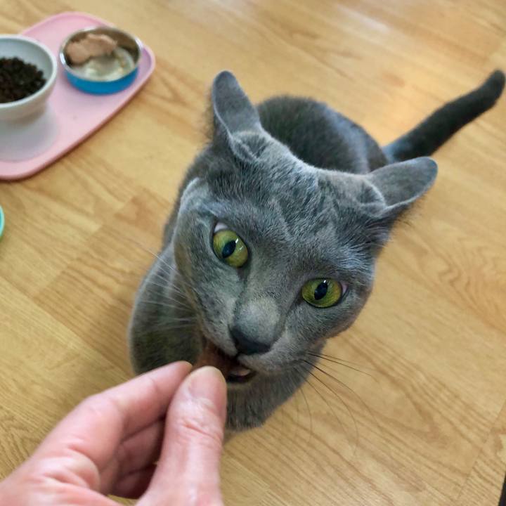 Da3f25a3 23be 4928 86c4 89b0f04011e3 1588900186495