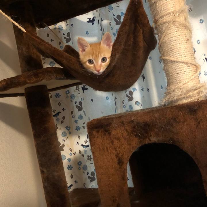 Da3f312e e888 463d bcb8 ae563f5f001d 1563188300646