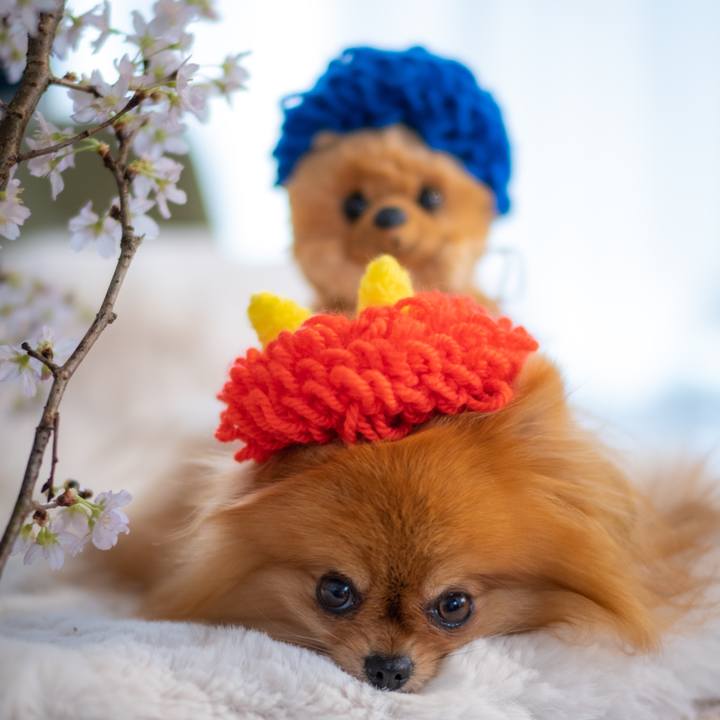 Da3f39b2 13ef 406a b672 aef02a92bf3c 1612870402250