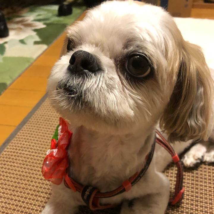 Da3f5f19 261f 42ff 8977 153eea2723c9 1630146368637