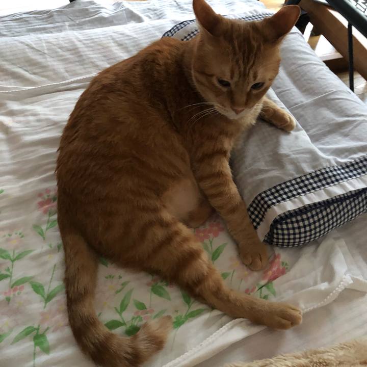 Da3f85e8 a195 4b57 8a83 aa8bff9dff4d 1583531903902