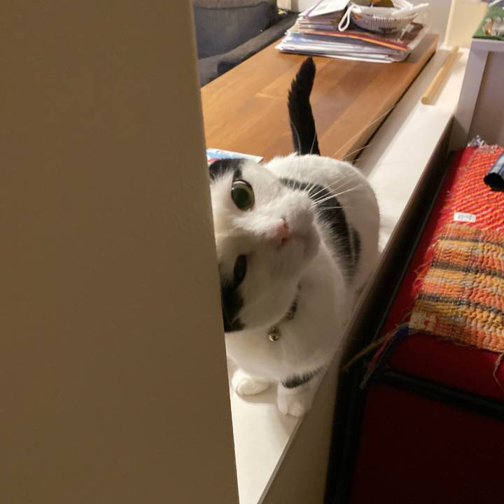 Da3fd2e4 71b4 4d2e 95ae b20adcec40bb 1773964146228