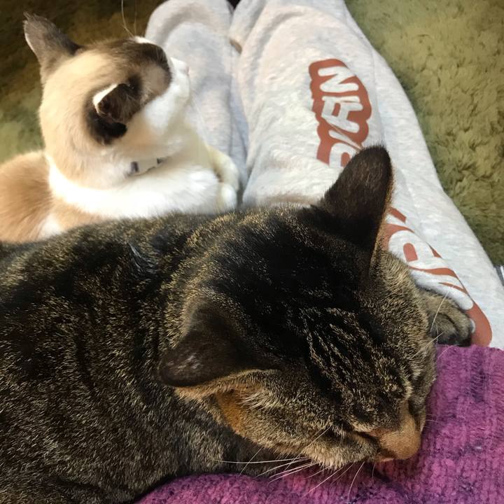 Da3fee8b f508 4307 8f7f 522a9ecaad4f 1607684607592