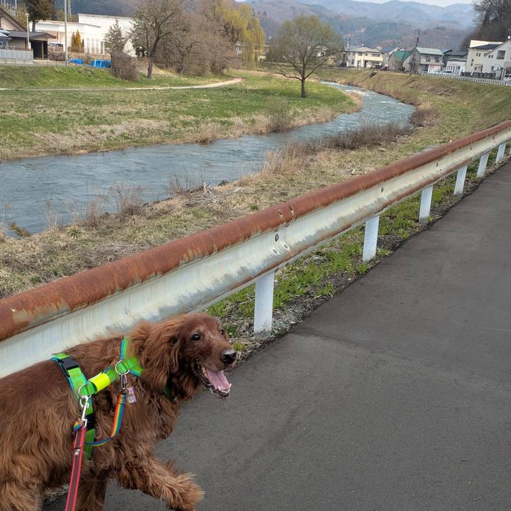 Da40043e 2be8 4dde a780 43e7cc538a79 1775189547448