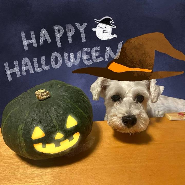 Da404b5c e769 4877 b459 d27b8133a502 1761919868093