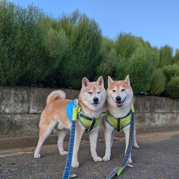 Da405db3 3faf 4ae5 a384 d2fd7d084f76 1758072065906