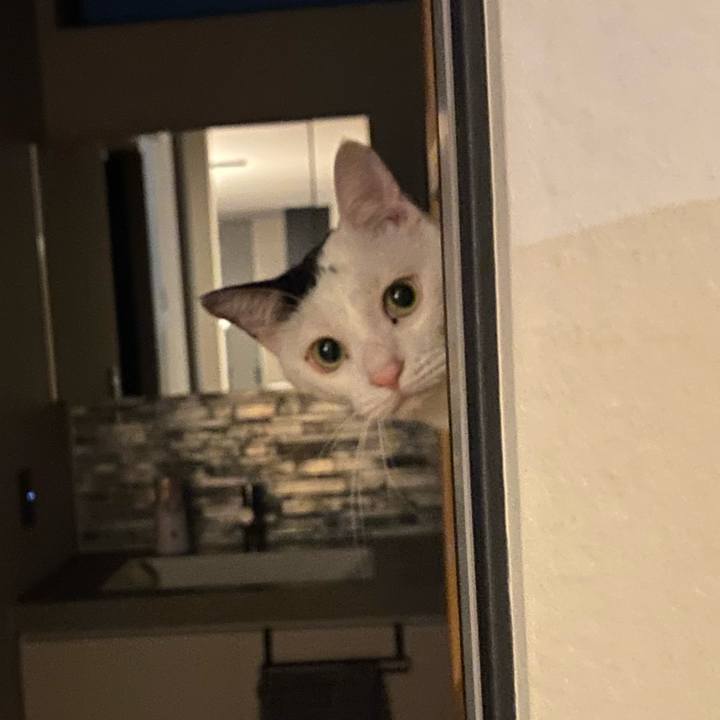 Da40959e 303b 4438 aead 84c009ab13ca 1733908782630