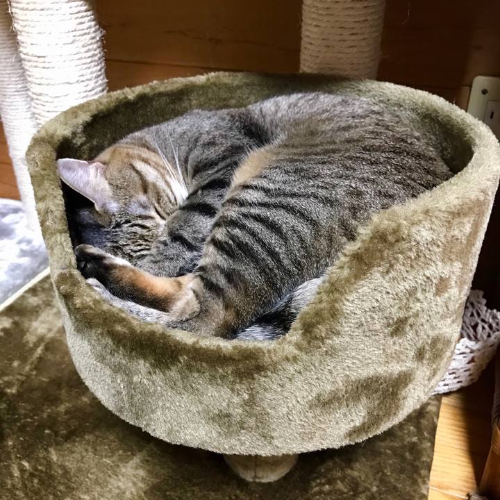 Da409970 55f1 4852 a87e 7b55f63d8a3c 1524474501328