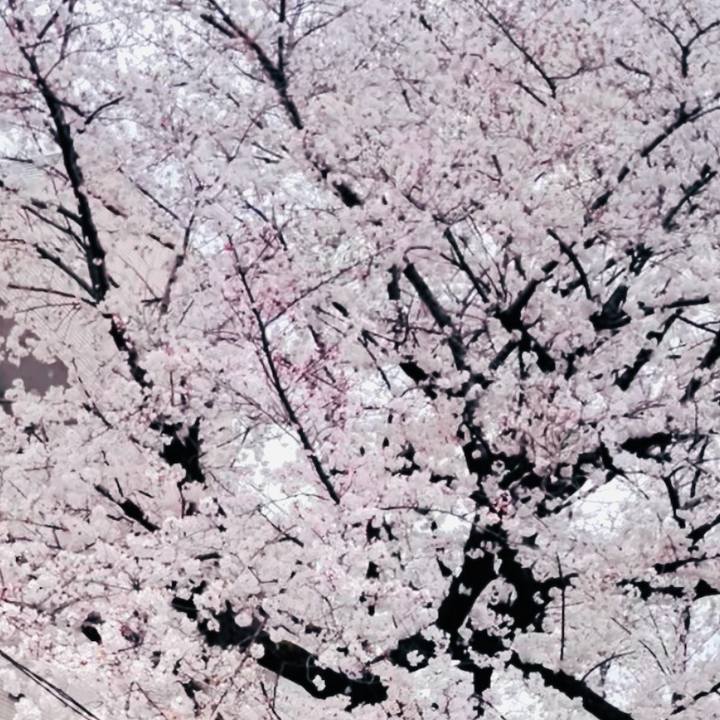 Da40a2e8 c3f0 4334 a430 4b8e4816672e 1743592932322