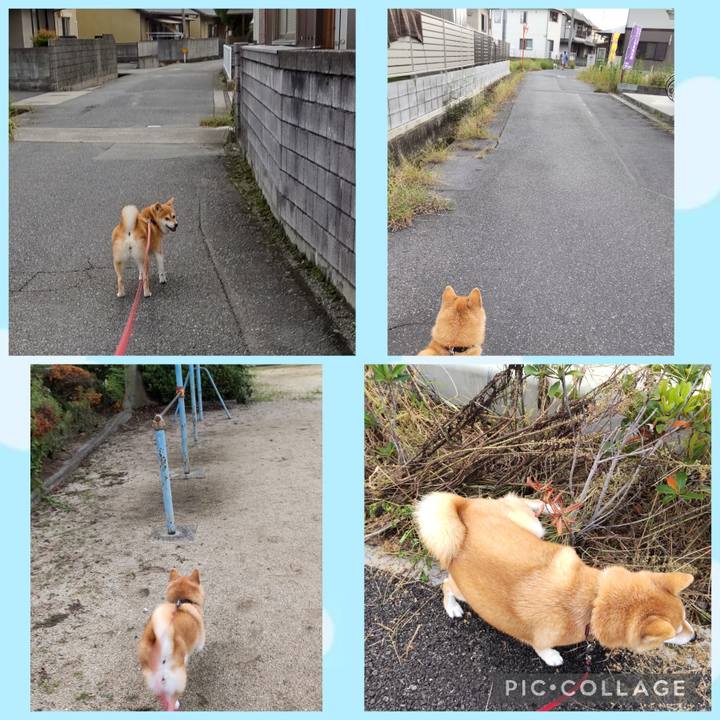 Da40b86f 0e07 428e b38b 156a163db056 1759705404425