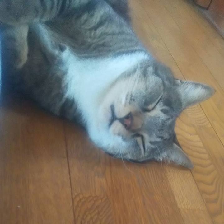 Da40e88c 8219 47d9 808a 3d7d101e23a3 1710308740492