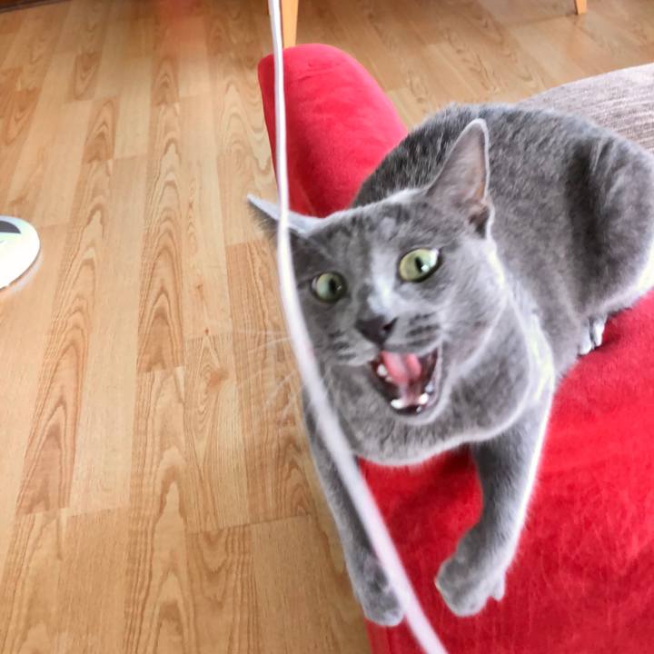 Da40fb39 3821 4a3b 8fa7 99af3d497202 1599190902381