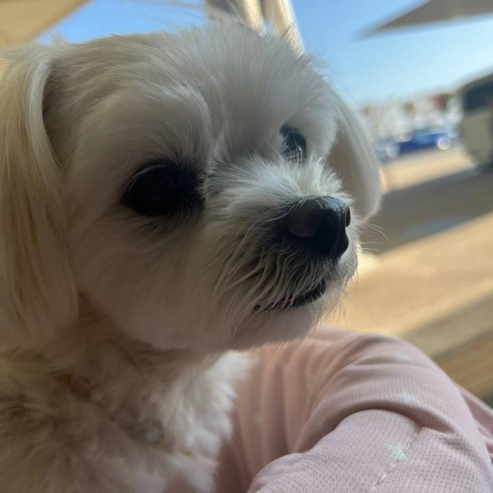 Da4144be 081b 4a3b 80dc 696c229369d6 1668080944284