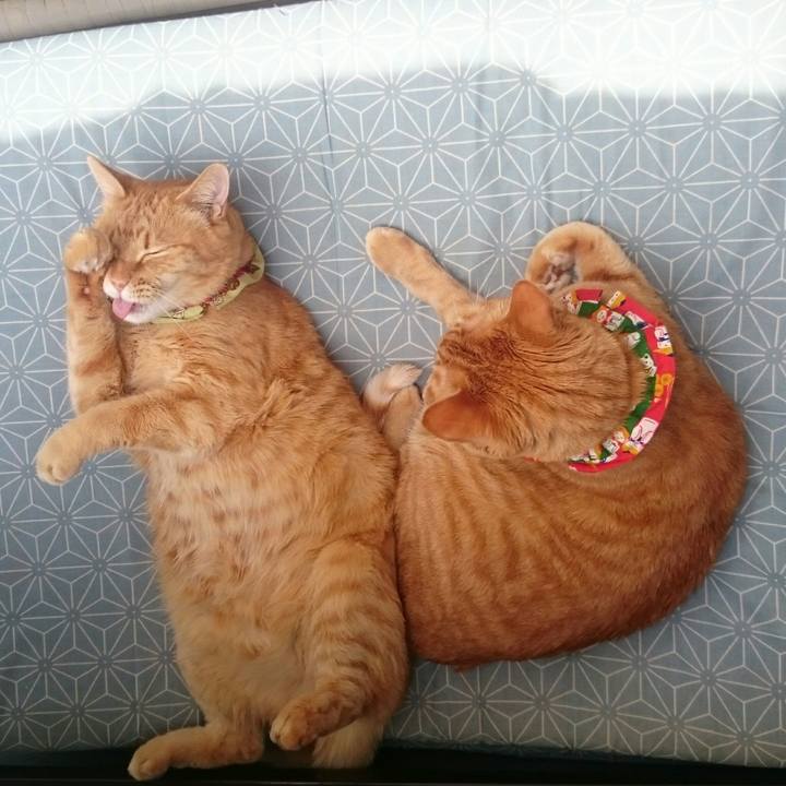 Da414e67 50be 4f1c aaab cf3eaabcf888 1522843360840