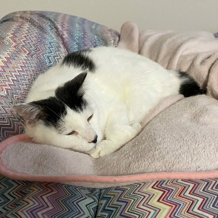 Da418956 6eb8 496d b5d2 07e33a11c8ca 1606952024909