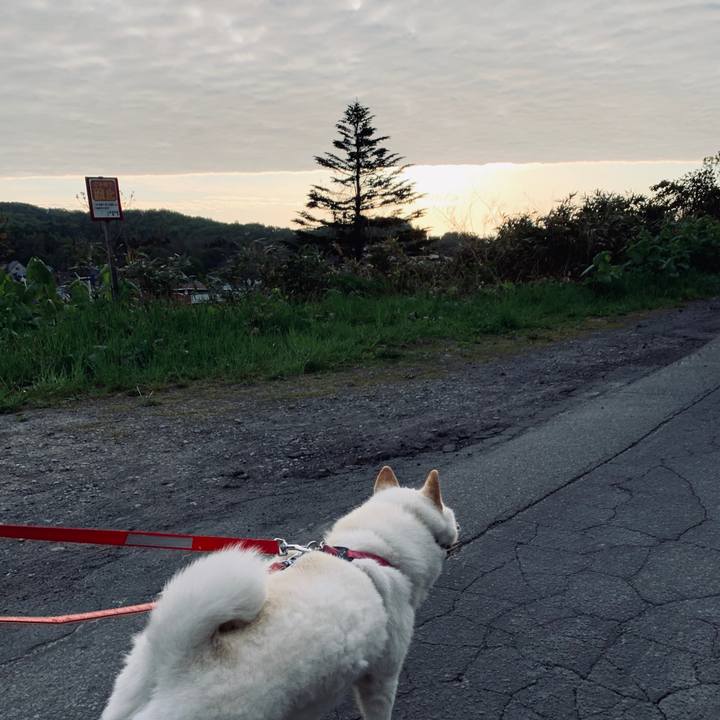 Da418994 df48 449c 9bd3 f1b6884629d3 1590092789083