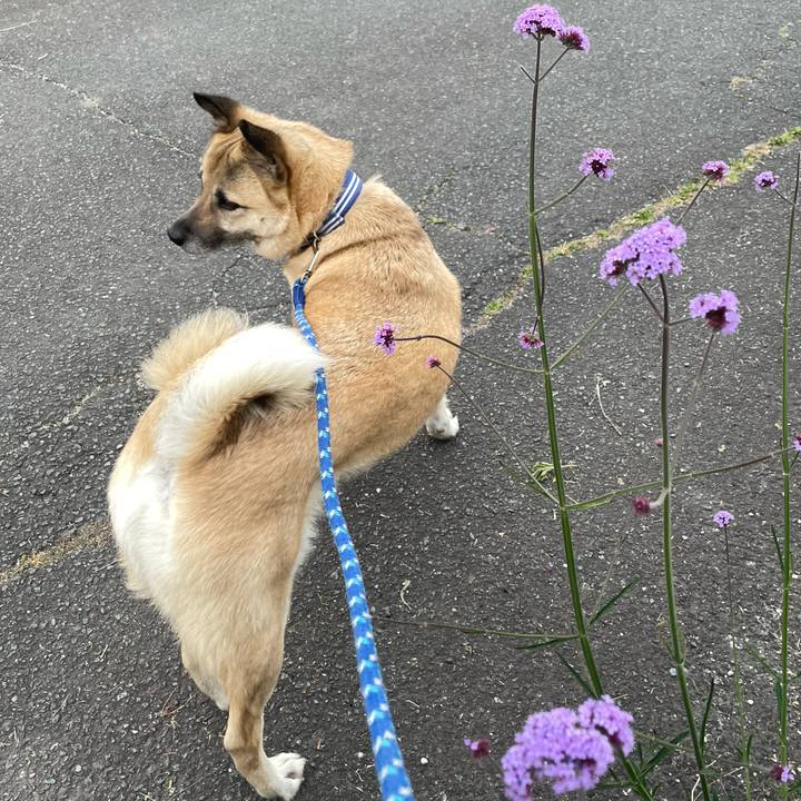 Da41a8bf d01a 489c b9de 23a8f1699e02 1653046546047