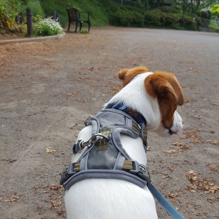 Da41ad45 1969 4573 bf9b 73e8eb2ca654 1557202162072