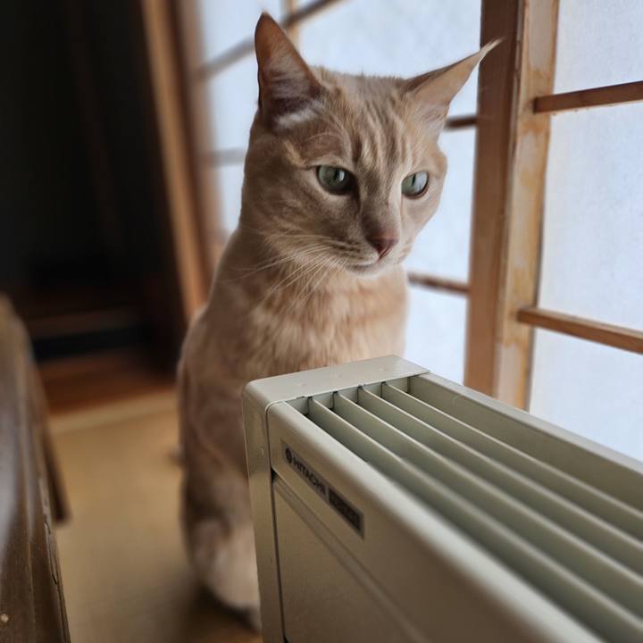 Da41faf1 f7e3 4bf4 a940 d52545f0d925 1740386491095