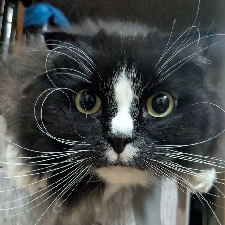 Da421aef 9888 4657 aa43 a9df0b6e0241 1739225218380