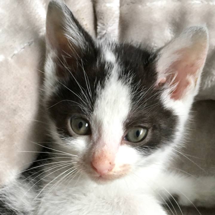 Da4236ea d2a9 4f56 af03 3930fa176a6d 1624575570882