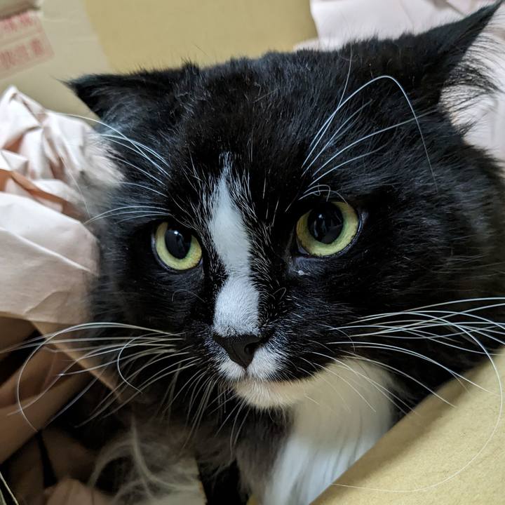 Da424c91 c9ce 4494 80c4 aa3b7d44174c 1695481733295