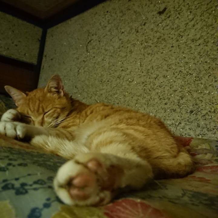 Da4261af 527e 4cc7 b924 898d0d904f43 1595854432347