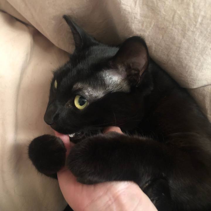 Da428f4e ecaf 4f50 9735 57cb8797c981 1643761533537