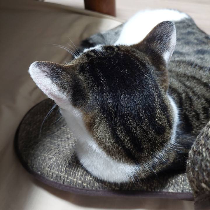 Da429e2d c011 4a58 ba13 37406e272fff 1661164876985