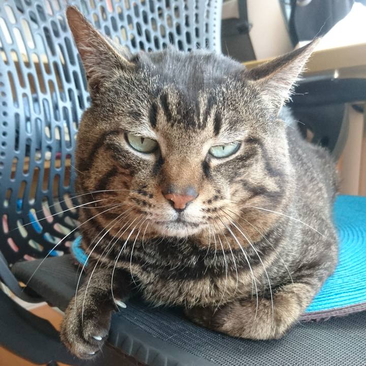 Da42cc69 38b5 448f af7d f8f557eaa3ef 1529063714714