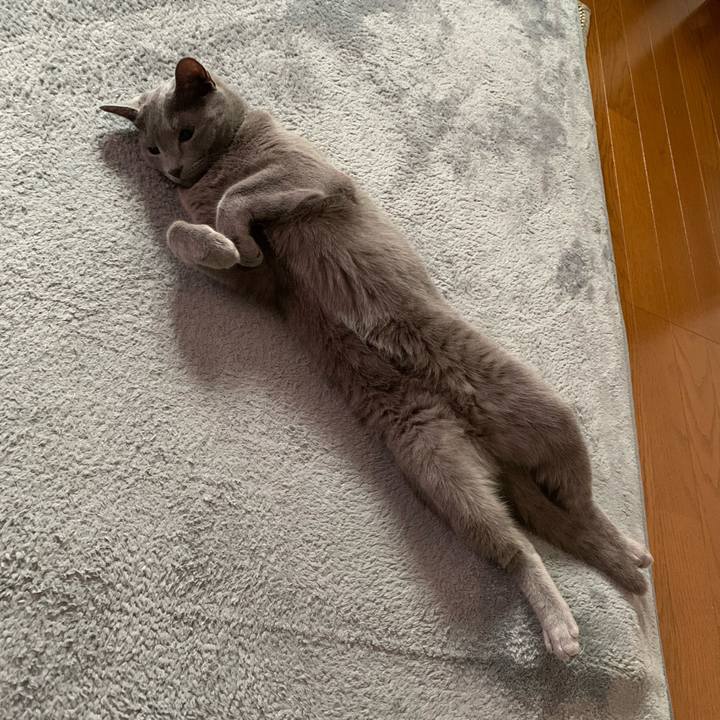 Da42ced6 d926 4bec 8f1b a1ca97a34be3 1622763402386