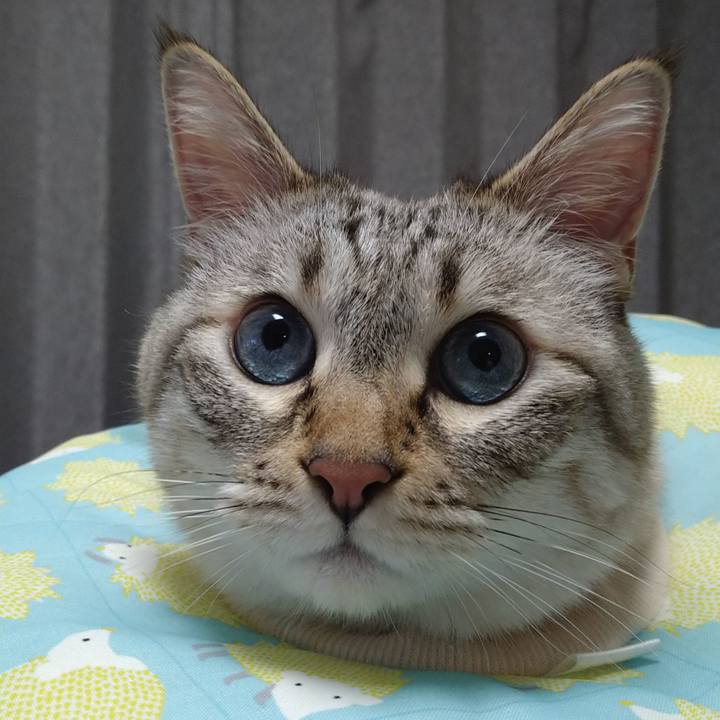 Da42f883 8e73 4a60 bd68 9a5081a59238 1689516839936