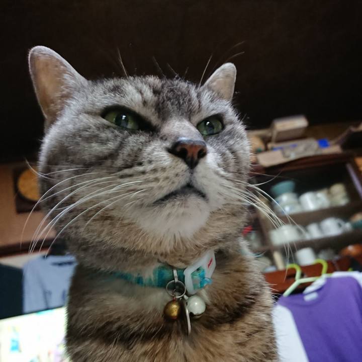 Da43ea0f 2b49 4145 88ad fa77143f9be0 1553771094959