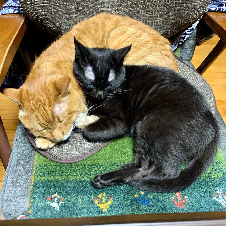 Da43f446 f12e 43c7 a5e4 ef8acca0a440 1647852818089