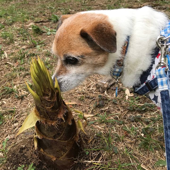 Da4420fa 1bb1 43be a8a1 fd5e6fe65269 1588993364867