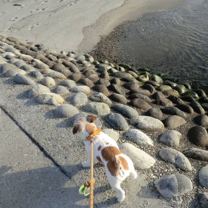 Da44361e 21be 4bbe 9b60 c0f96bcce608 1583996051201