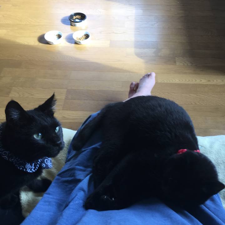 Da443846 f5bb 496b 844c 22755cd3d05b 1537052739765