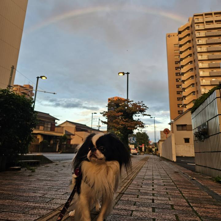 Da44447a 6bbe 41ff ae04 9a51a41ecb58 1728466735315