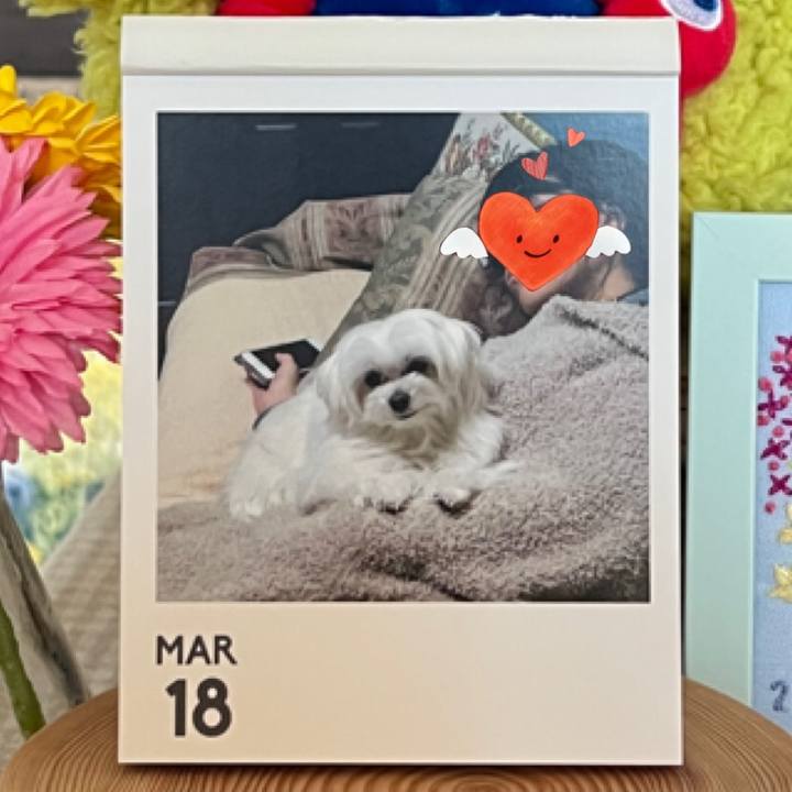 Da445436 919c 41fa 8941 096aa3046d0e 1773820364169