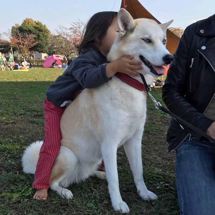 Da447f56 2684 4b4d 8b28 30c7111b863e 1541920954877