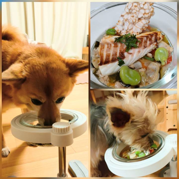 Da448823 abfc 4622 8d0a 6cc53da711c5 1651708594035